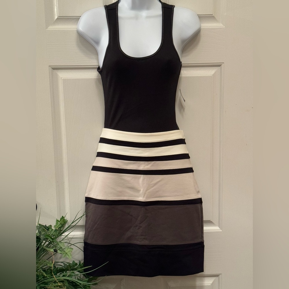 Express high waisted skirt